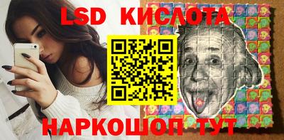 шишки Дубна