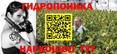 шишки Дубна
