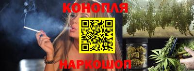 шишки Дубна