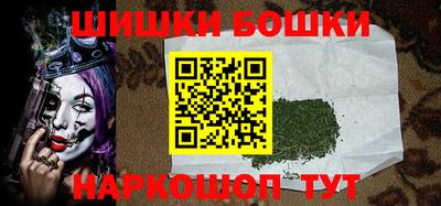 шишки Дубна