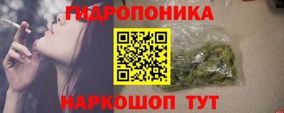 шишки Дубна