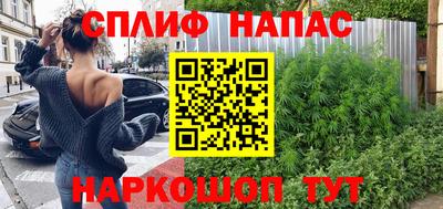 шишки Дубна