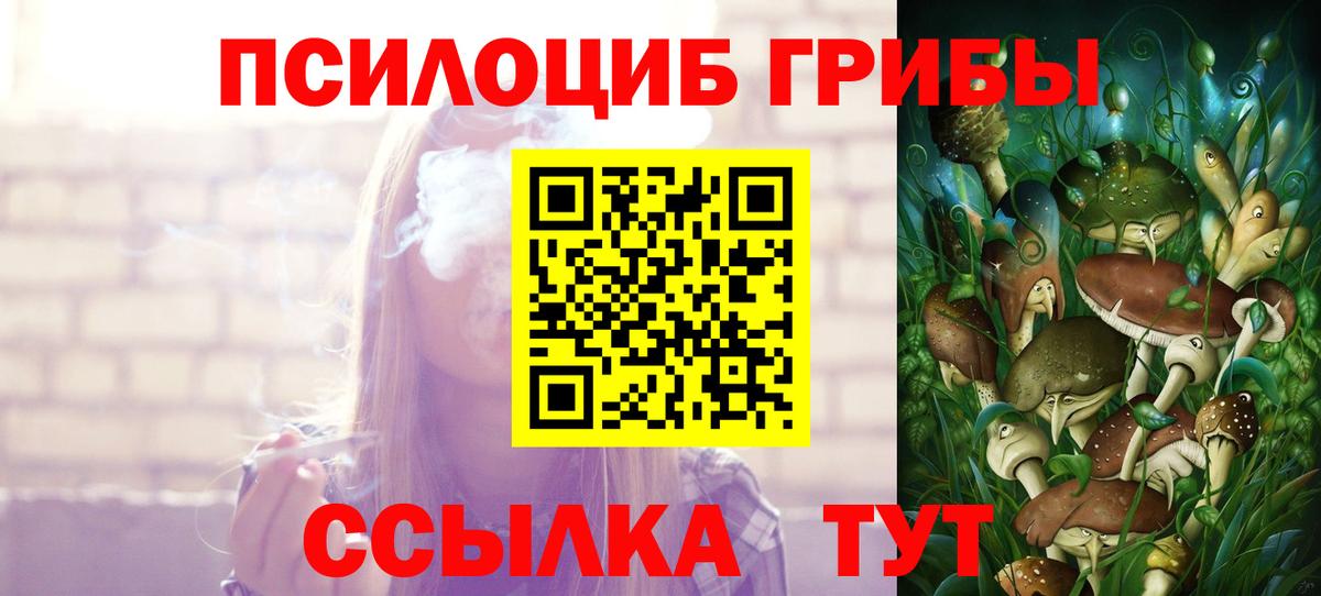 Галлюциногенные грибы мицелий  Вход с VPN  Нижний Новгород 